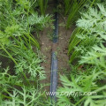 Carrot Water saving drip irrigation zone